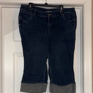 Lane Bryant Indigo Ankle Jeans